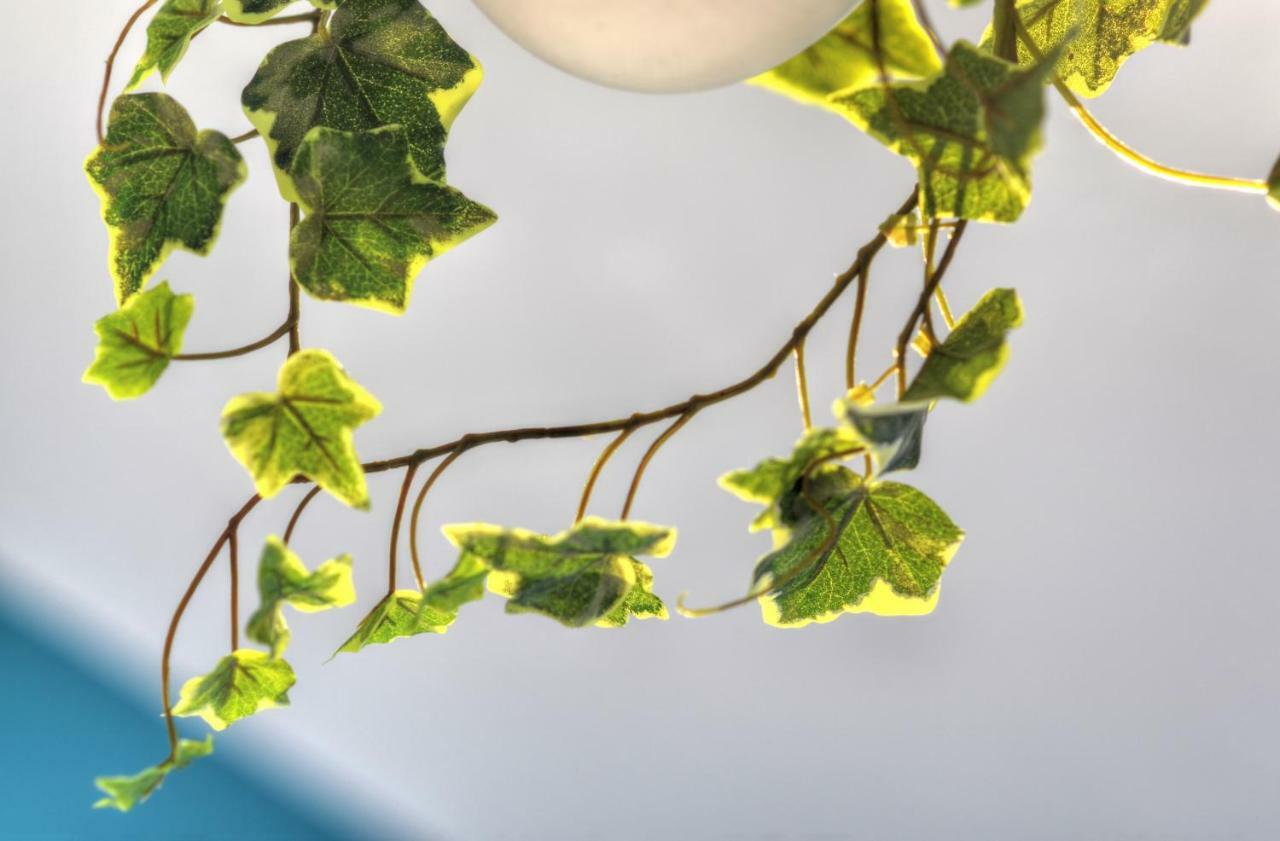 Apartament Les Quais D'Annecy Zewnętrze zdjęcie